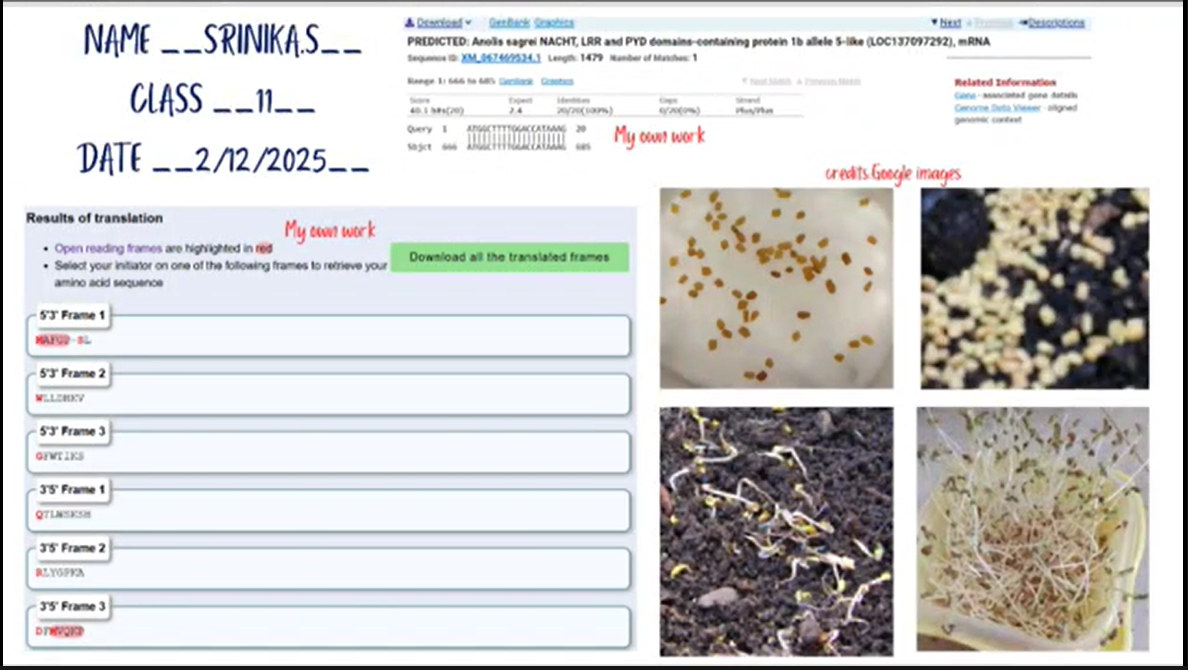 Screenshot 2025-12-22 114408.png
